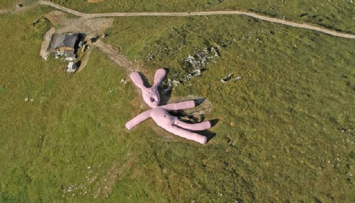 google-earth-coniglio-rosa