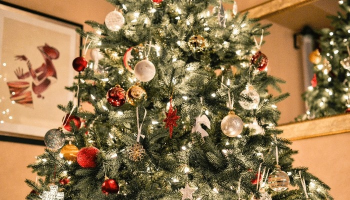 Albero di Natale come quello della Ferragni? Sì, ma low cost