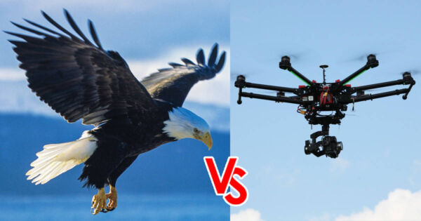 drone