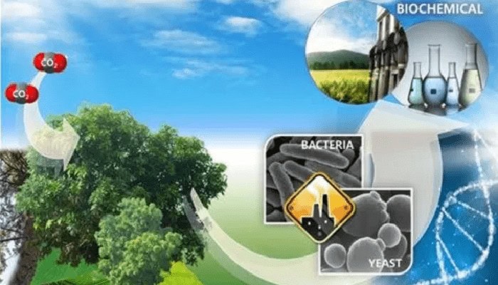 Biodiesel: si può ottenere da cartone e carta di scarto