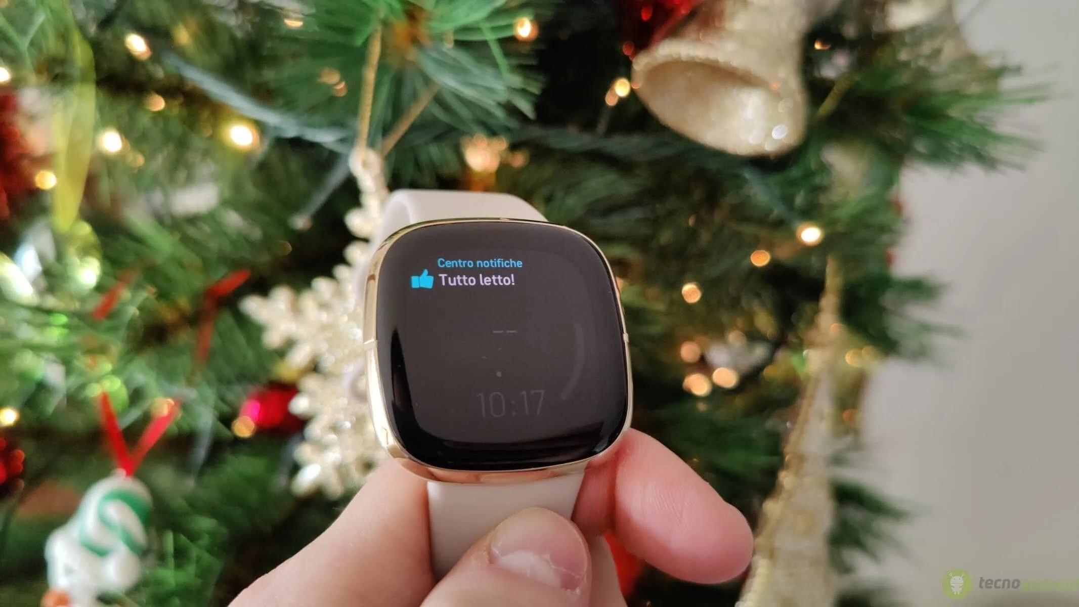 fitbit sense (13)