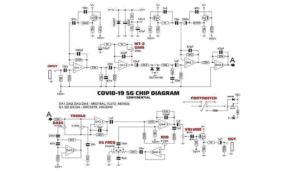 COVID-19, vaccini, 5G,