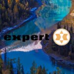 expert
