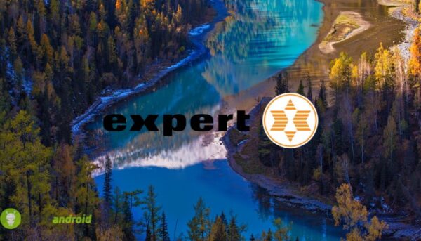 expert