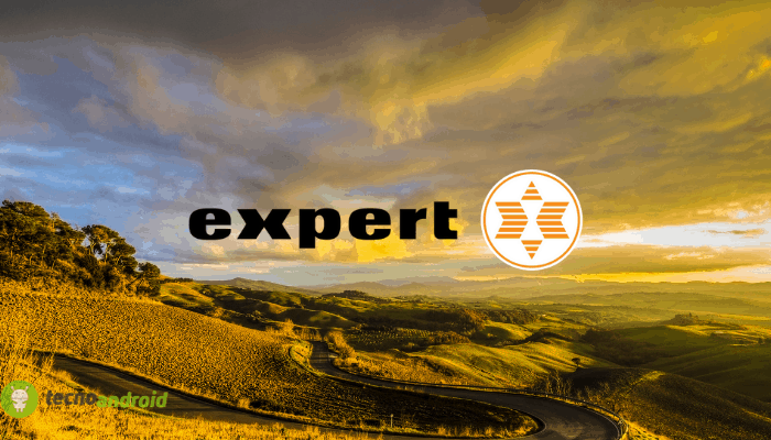 expert
