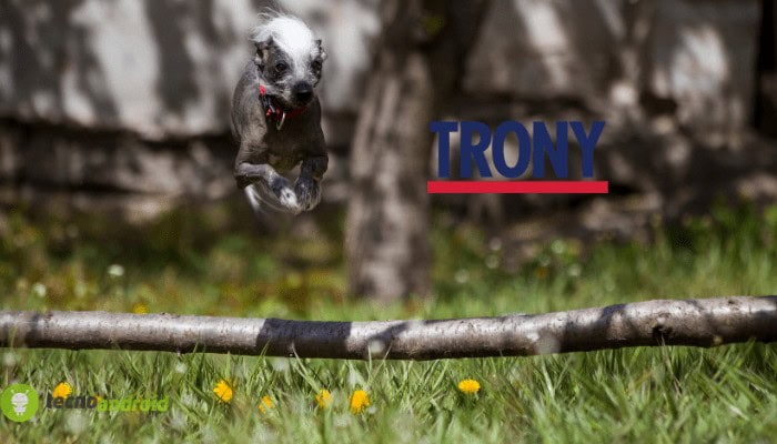 Trony: sconti pazzi con le offerte del nuovo volantino