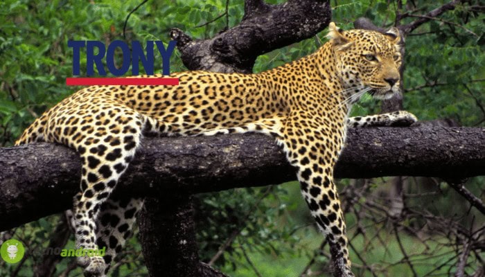 Trony: sconti maestosi nel volantino che ruba i clienti a Unieuro