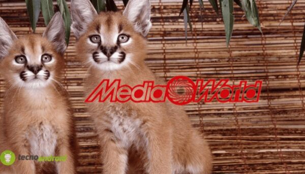 mediaworld