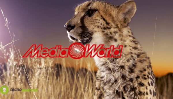 mediaworld