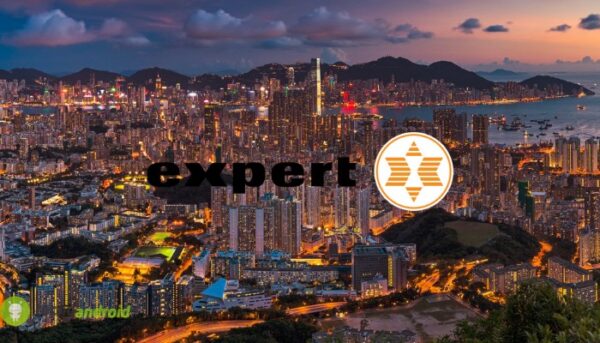 expert