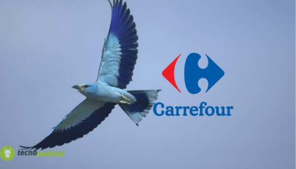 carrefour