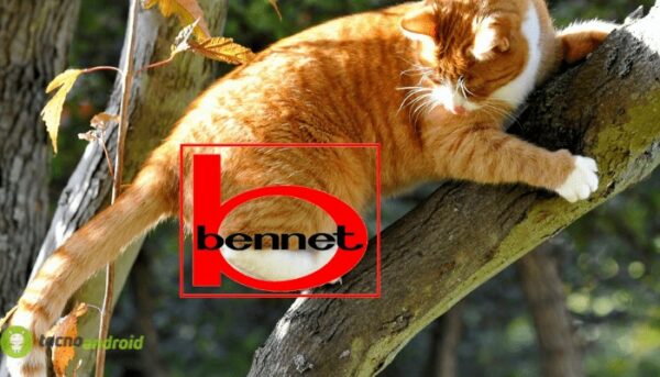 bennet