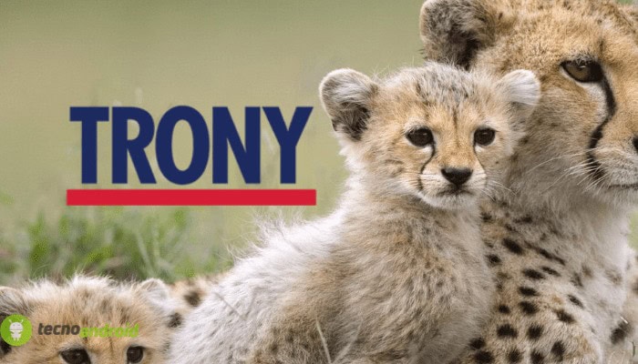 Trony fa felici gli utenti: il volantino è l’occasione per risparmiare
