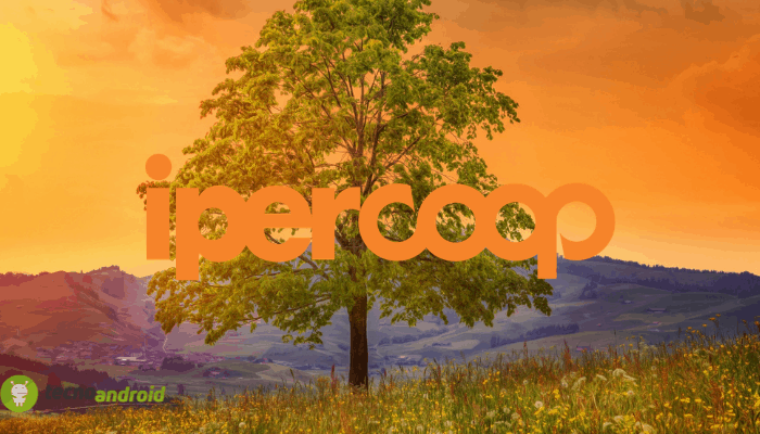 coop