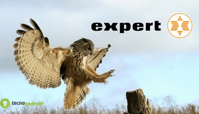 Expert: chance incredibile per i migliori sconti del momento
