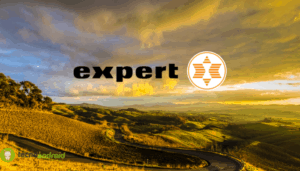 expert