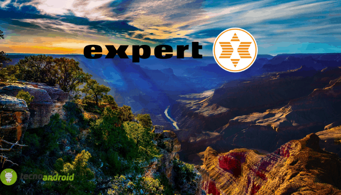 expert
