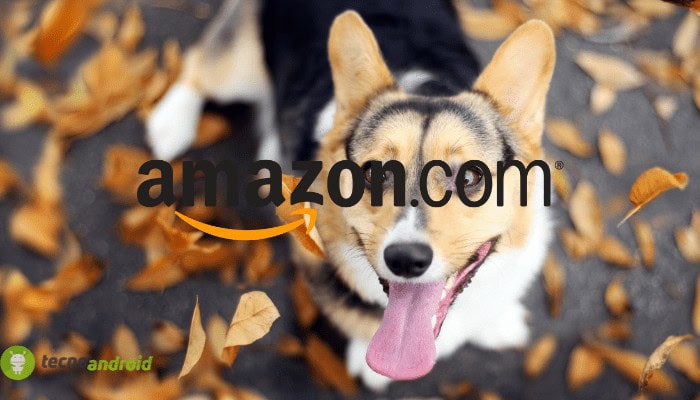 Amazon shock: offerte pazze quasi gratis nell’elenco segreto