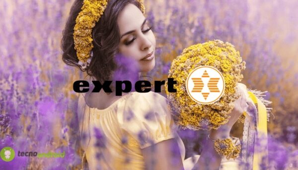 expert