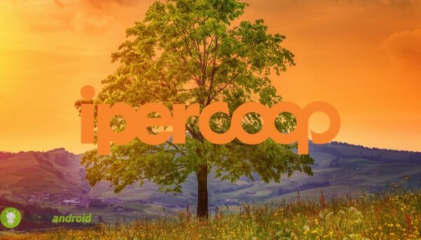 coop