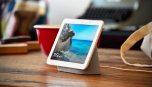Google, Nest Hub, Nest Home, Google Assistant