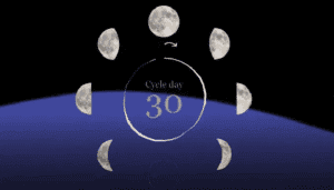Luna piena