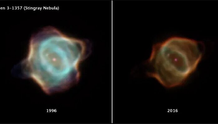 Nebulosa Razza
