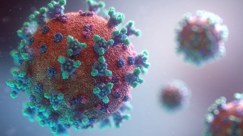 Covid-19: secondo una scoperta, in queste regioni sparirà difficilmente