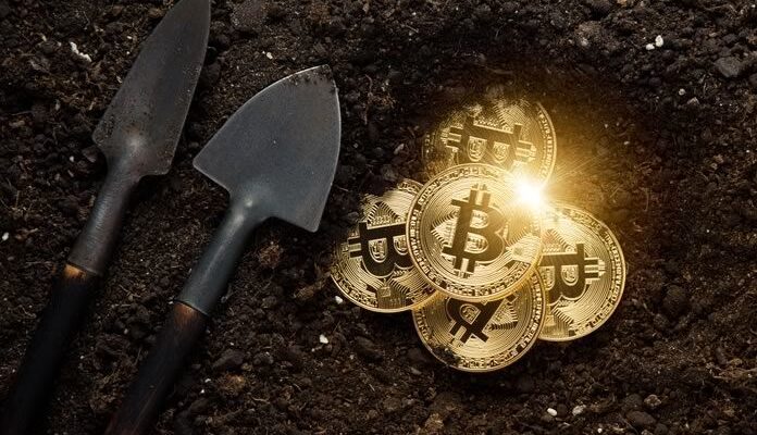 criptovalute