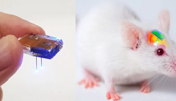 Manipolare i neuroni attraverso un innovativo impianto cerebrale