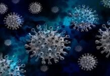 Coronavirus profezia virus più letale