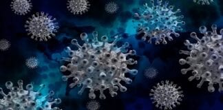 Coronavirus profezia virus più letale