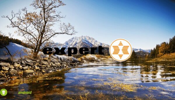 expert