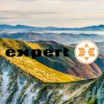 expert