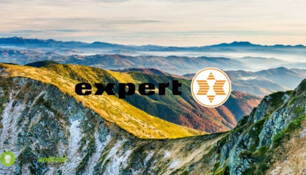 expert
