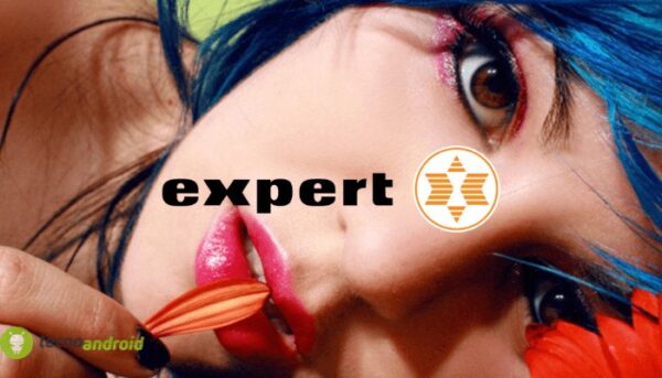 expert