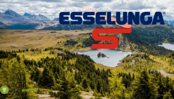 esselunga