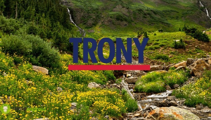 Trony: questo volantino ha prezzi e sconti incredibili