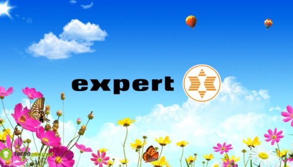 expert