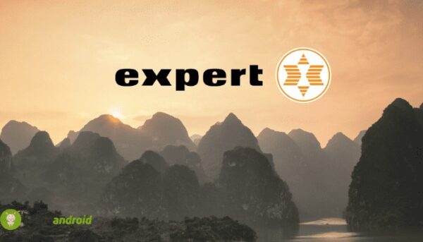expert