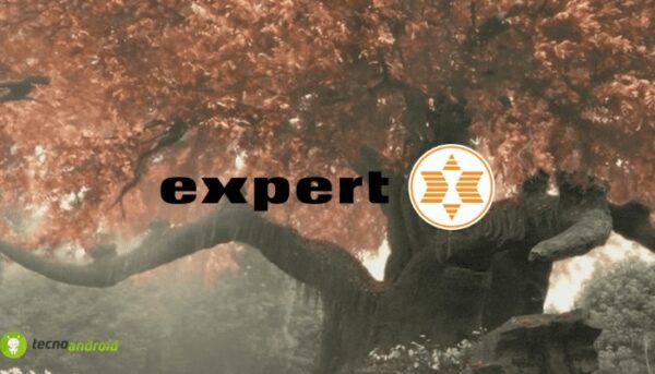 expert