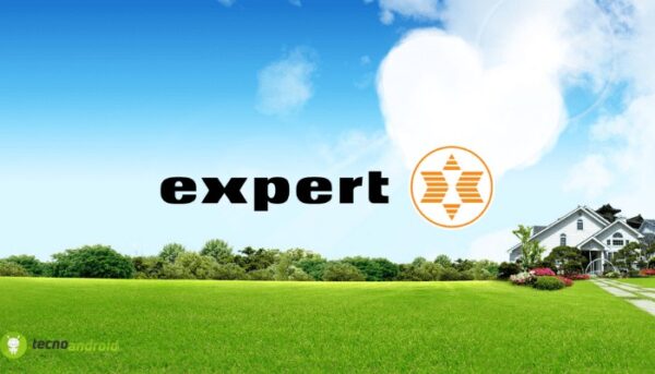 expert