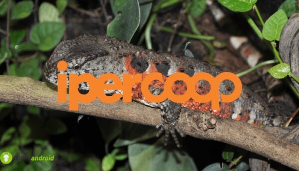 coop