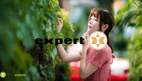 expert