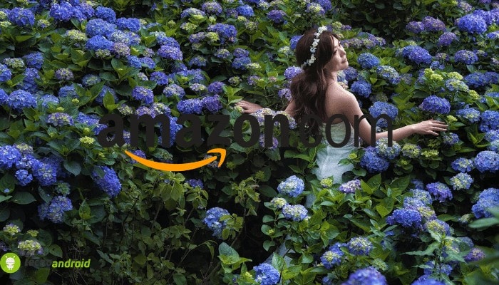 Amazon è super: offerte gratis in un elenco segreto esclusivo e inedito