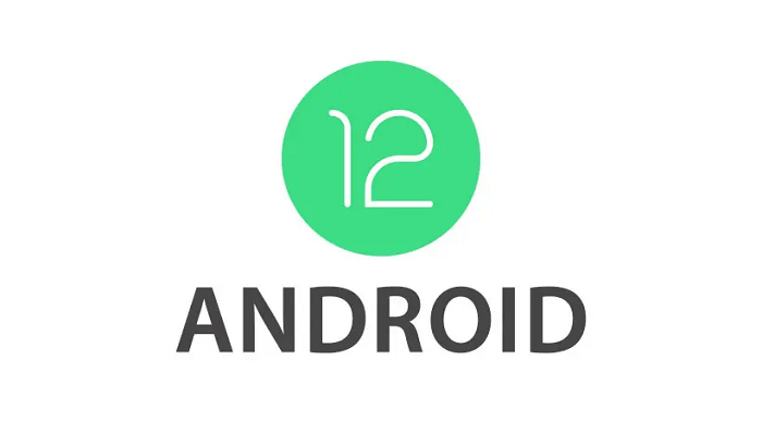 Google, Android, Android 12, Developer Preview,