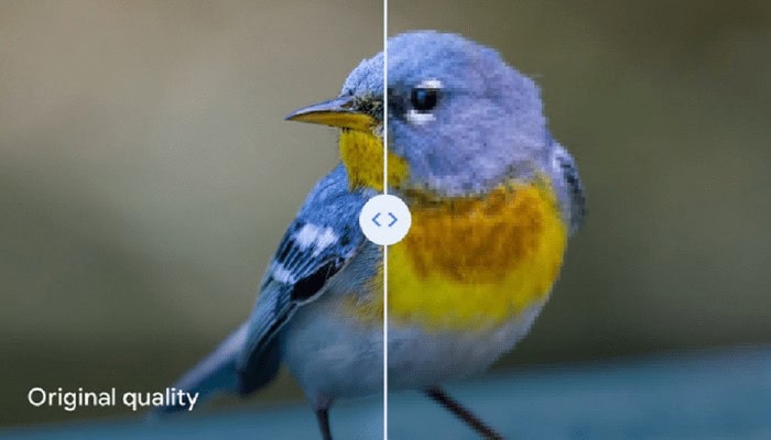 Google avverte gli utenti: non utilizzare questa compressione delle immagini