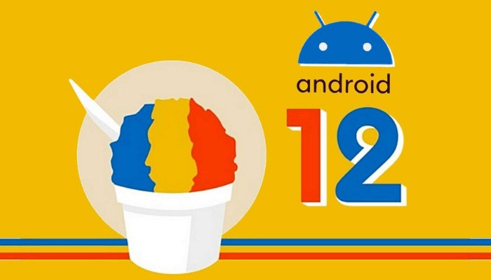 Come installare Android 12 Preview su uno smartphone compatibile
