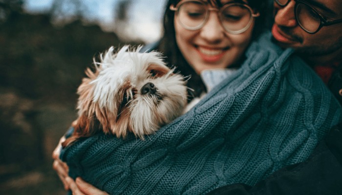 I cani più intelligenti imparano nuove parole in modo straordinariamente rapido