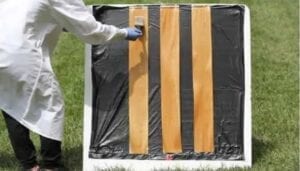 legno trasparente